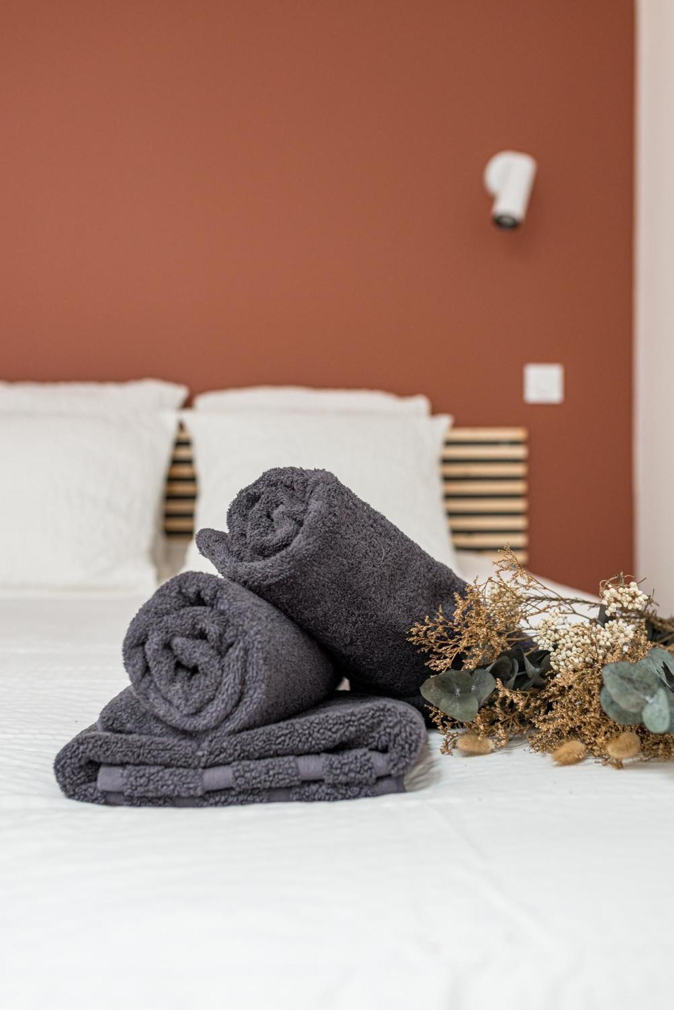 Sweet Haven Appartement Grand Confort Et Design Saint-Etienne  Exterior photo